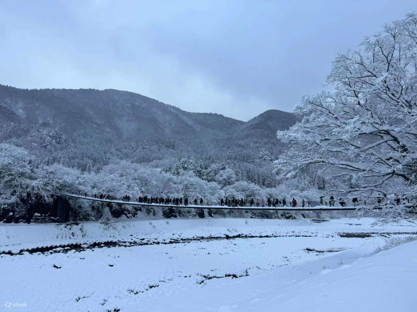 世界遺産「白川郷」と飛騨高山を巡る日帰りツアーの予約 (名古屋